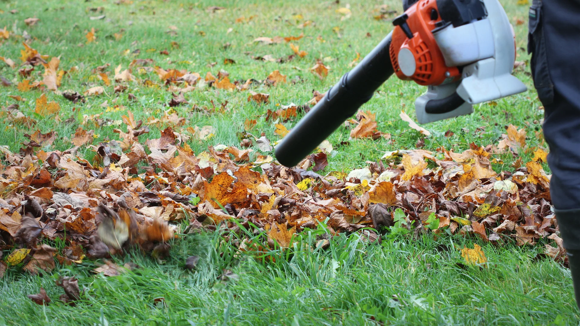 Yard cleaning in manhattan ks