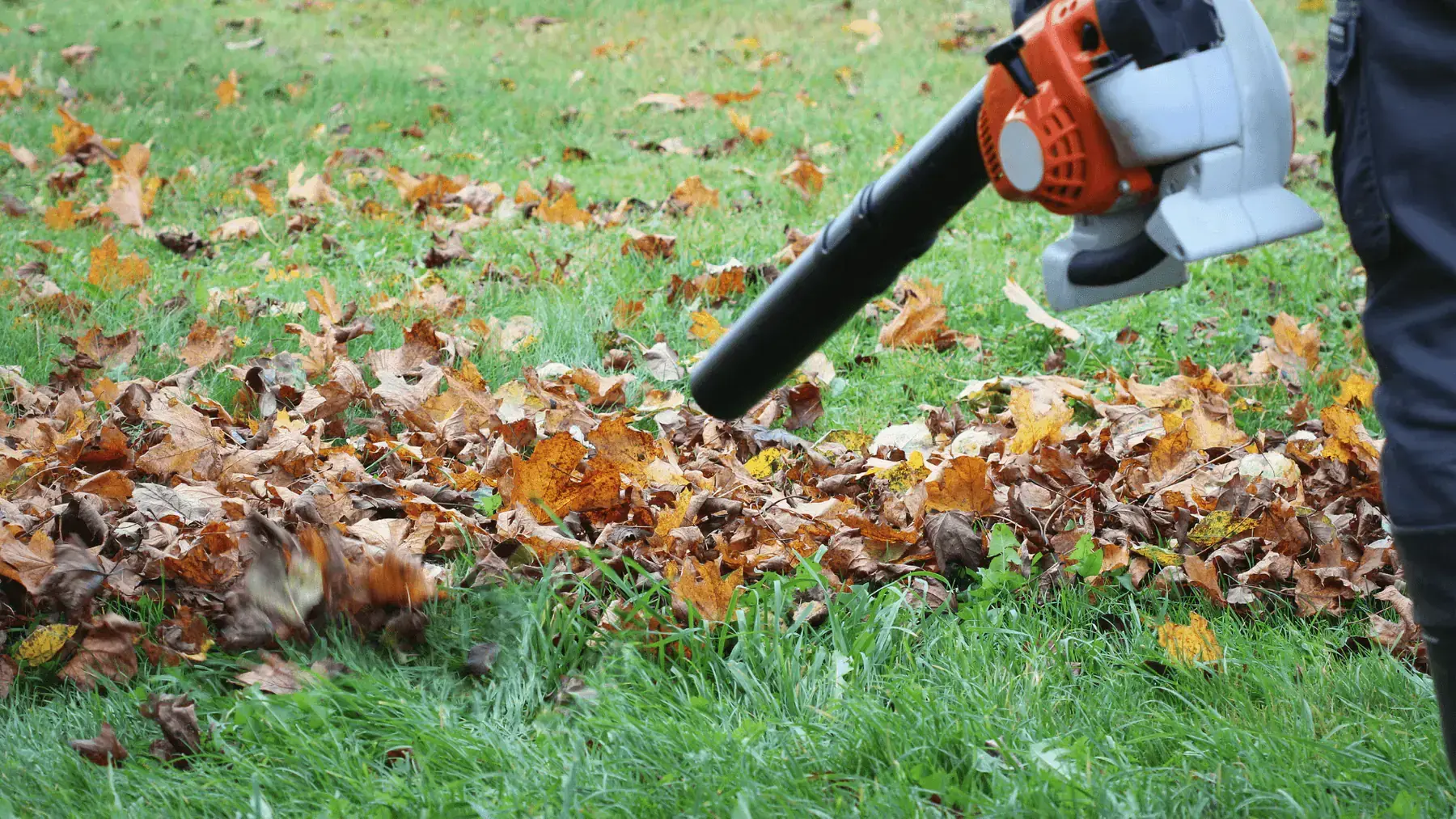 Home 9 Yard cleaning in manhattan ks