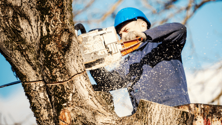 Tree trimming in manhattan kansas