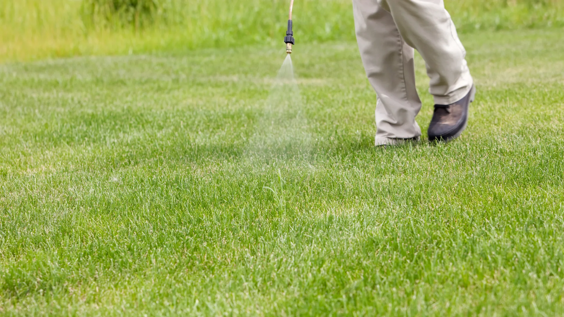 Lawn Maintenance in manhattan ks
